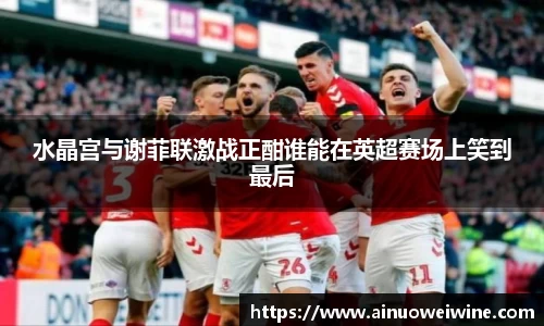 水晶宫与谢菲联激战正酣谁能在英超赛场上笑到最后